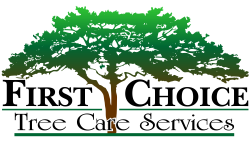 First Choice Tree Care Services